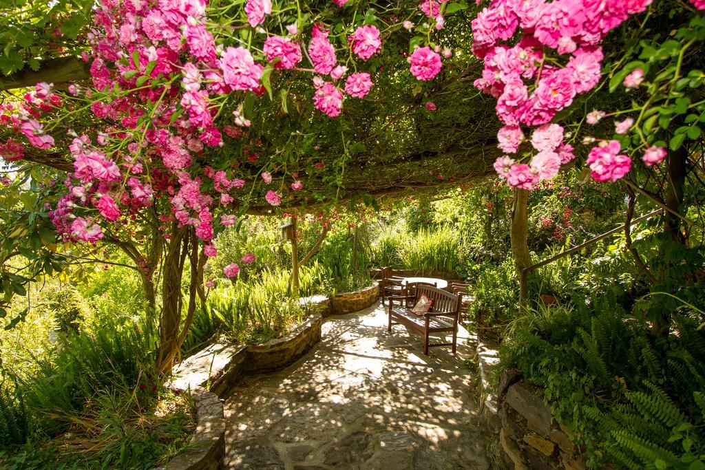 Paradise In Portugal Santa Clara-a-Velha Luaran gambar